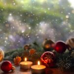 12月22日の誕生花を知ろう!セントポーリアとカネノナルキの魅力